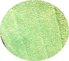 Green twisted 13*47 fold stitch microfiber wet cleaning mop pads head