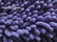 Purple Colorful Microfiber Wet Mop Pads 13*47cm Hair Length 2cm Big Chenille